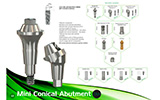 Systhex Implantes Dentários - Catálogo online - Página  12