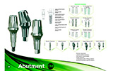 Systhex Implantes Dentários - Catálogo online - Página  16