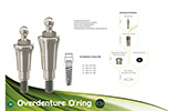 Systhex Implantes Dentários - Catálogo online - Página  20